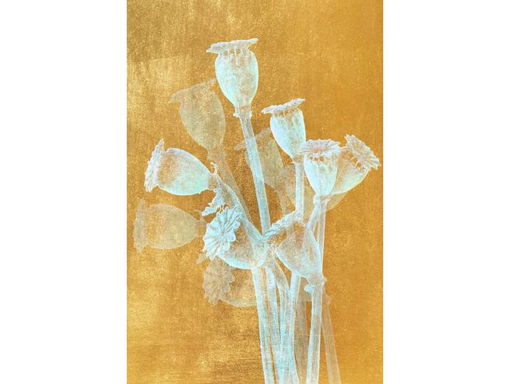 Gemälde QUEENCE Aluminium Bild Goldeffekt Abstrakte Pflanzen , gold (farbe bild(er): gold,weiß), B:80cm H:120cm T:0,4cm, Alu Dibond, Bilder, Gemälde, Alu Dibond mit gebürsteter Struktur für einen edlen Metall Effekt