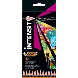 BIC® Buntstifte Mehrfarbig