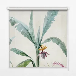 INNENROLLO - Fensterrollo - Rollo - 130x140 cm - Exotische Natur