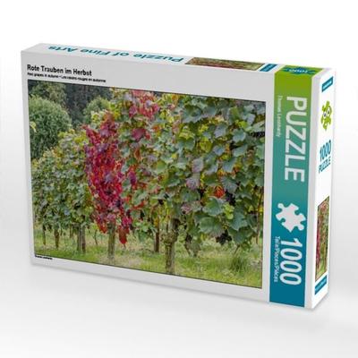 CALVENDO Puzzle Rote Trauben im Herbst | 1000 Teile Lege-Größe 64x48cm Foto-Puzzle für glückliche Stunden