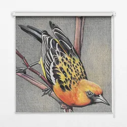 INNENROLLO - Fensterrollo - Rollo - 80x180 cm - Vogel auf einem Ast