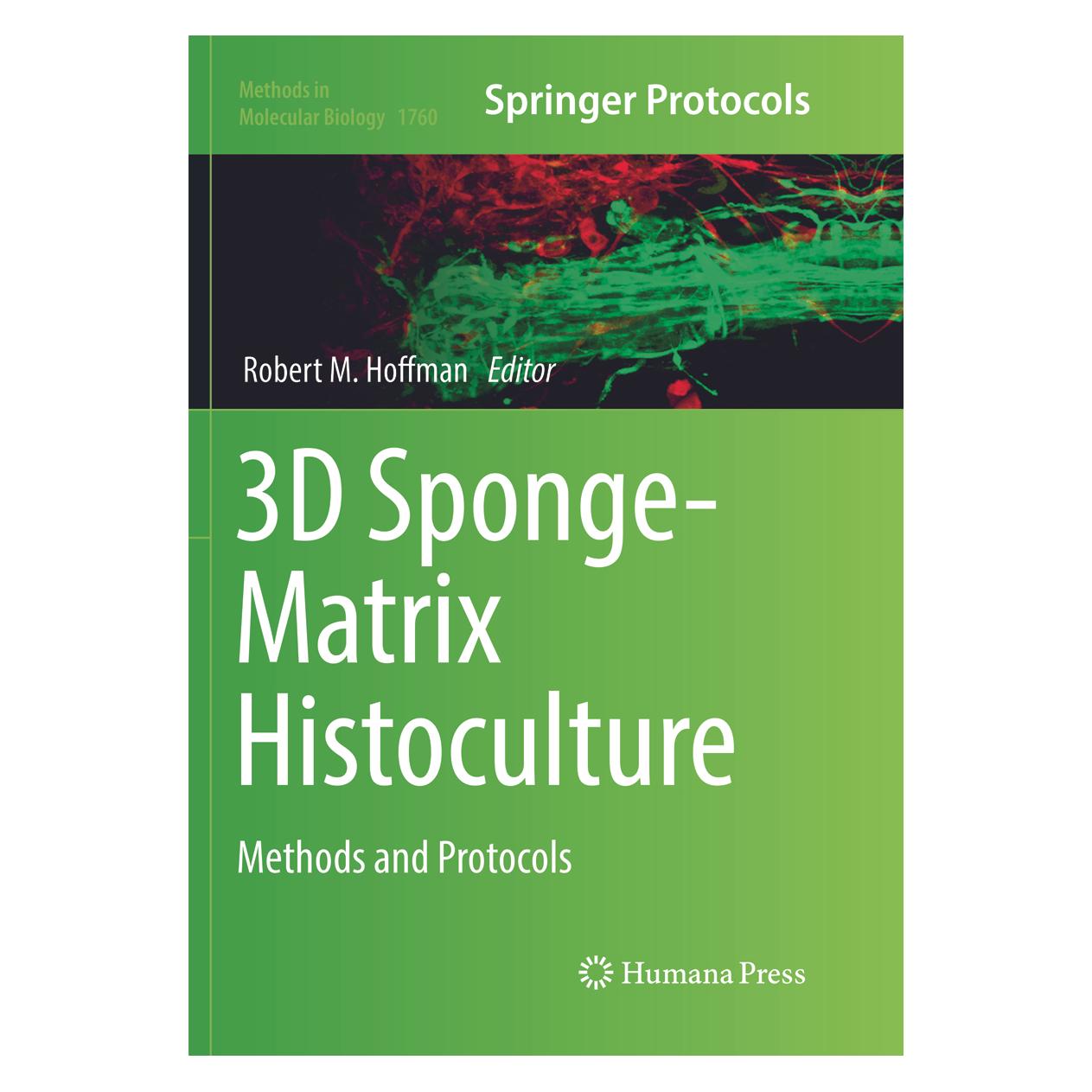 Springer 3D Sponge-Matrix Histoculture (Englisch, Softcover, Robert M Hoffman) (56056594)