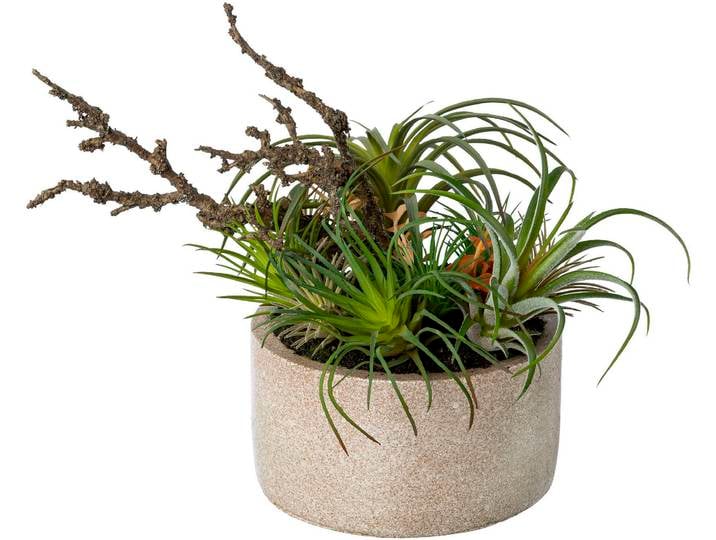 Künstliche Zimmerpflanze CREATIV GREEN Tillandsien-Mix in Zementschale , grün, H:26cm Ø:25cm, Obermaterial: 100% Polyethylen, Kunstpflanzen, Künstliche Zimmerpflanze
