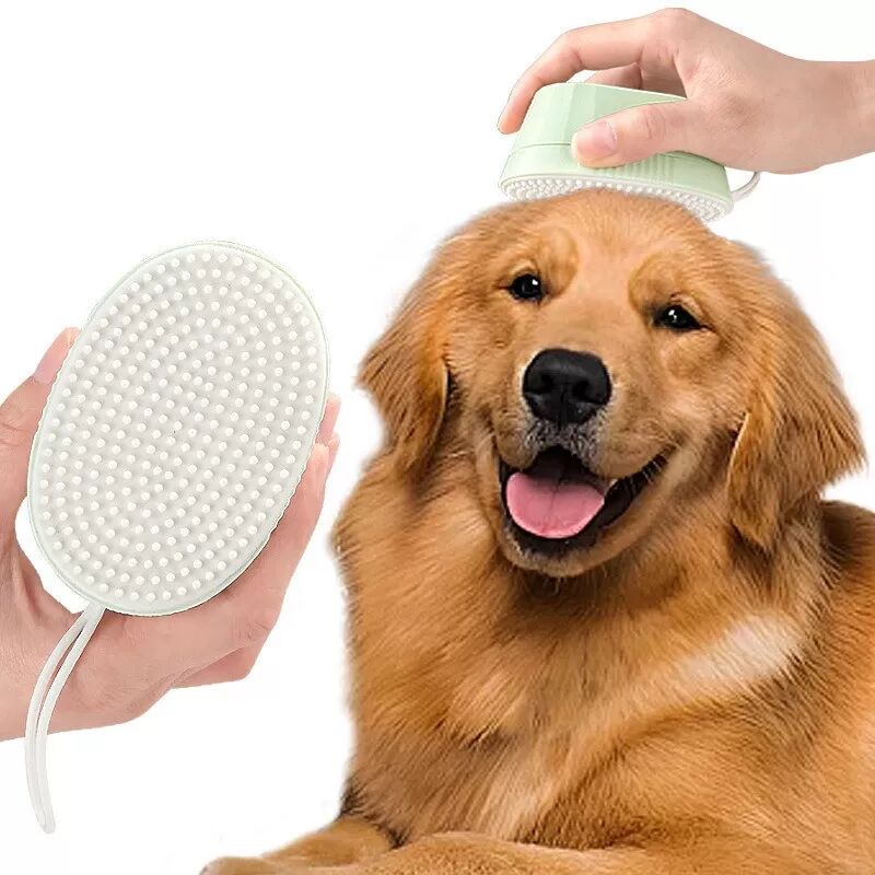 INF Rouleau Anti-Peluche Double Usage avec Recharges - Élimination Efficace des Poils & Poussière