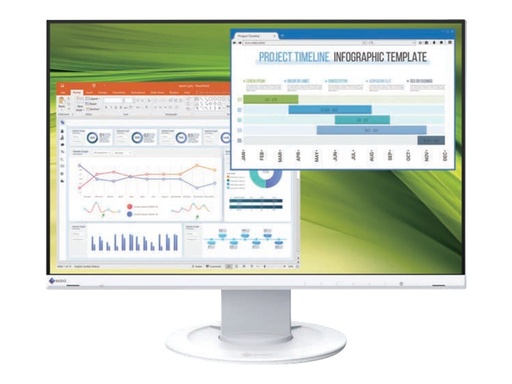 EIZO FlexScan EV2360-WT - LED-Monitor - 57.2 cm (22.5") (EV2360-WT)
