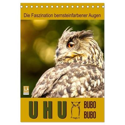 Uhu, die Faszination bernsteinfarbener Augen (Tischkalender 2026 DIN A5 hoch), CALVENDO Monatskalender