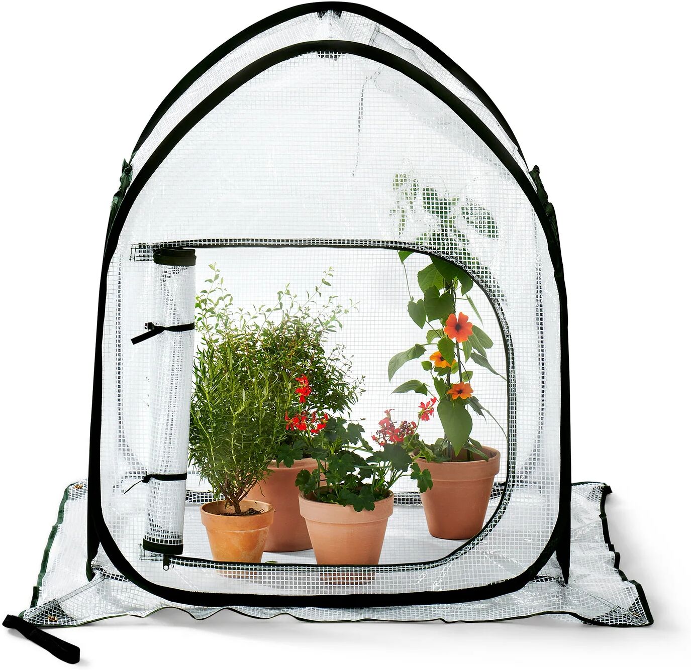Tchibo - Kleines Pop-up-Pflanzenschutz-Zelt - 80x80x95cm - dunkelgrün -