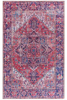 SAFAVIEH Tucson Fionnuala Transitional Rug
