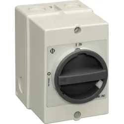 Kraus&amp;Naimer Schalter KG20.T203/DA159KL51V