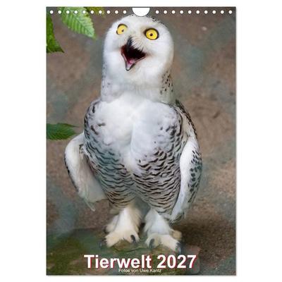 Tiere (Wandkalender 2027 DIN A4 hoch), CALVENDO Monatskalender