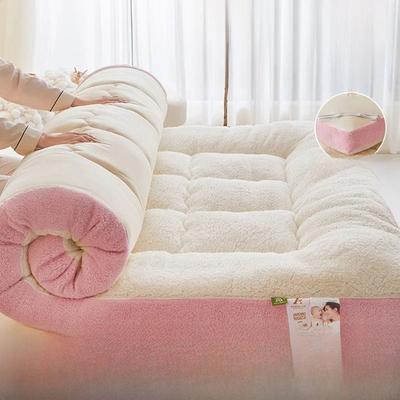 Uplifted Finds Thiened Lamb Velvet Mattress Pad Warm Soft Foldable Bedding For Home And Dorm 120 X 190 Cm Single Mattress peach Powder