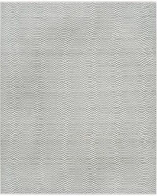 SAFAVIEH Handmade Boston Ursula Coastal Cotton Rug