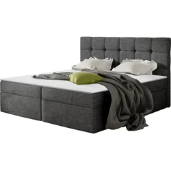 BOXBETT Nele - H3