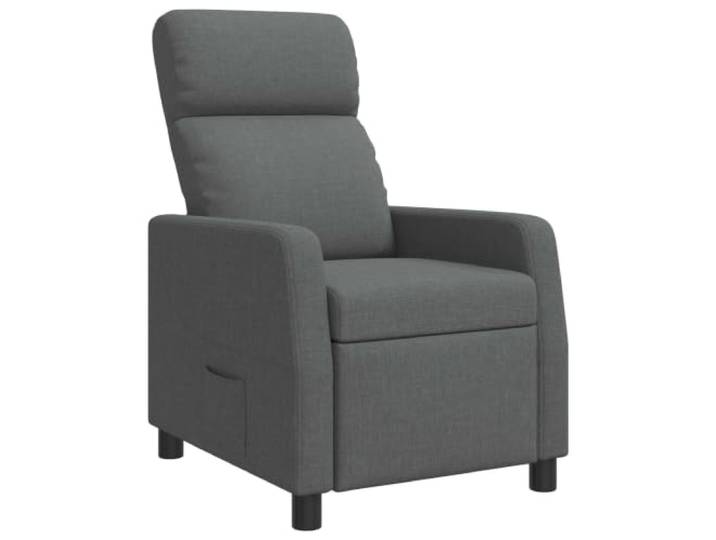 Relaxsessel Dunkelgrau Stoff 66 x 95 x 100 cm Liegeposition 115°-160°, 100% Polyester, Metall und Holzwerkstoff, flache Armlehnen, pflegeleicht