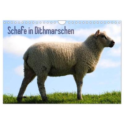 Schafe in Dithmarschen (Wandkalender 2026 DIN A4 quer), CALVENDO Monatskalender