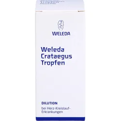 Crataegus Tropfen 50 ML