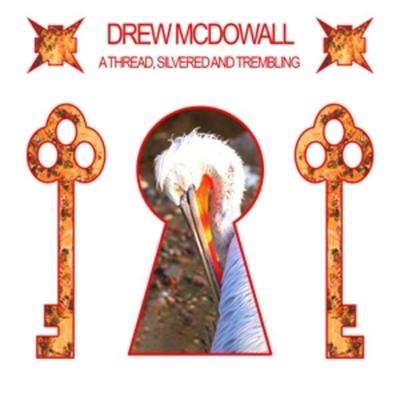 A Thread,Silvered and Trembling - Drew McDowall, Vinyl