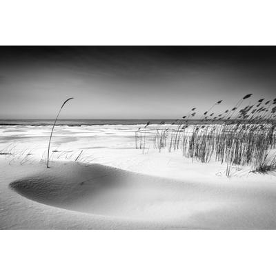 Fototapete PAPERMOON "Photo-Art REINIS CÄªRULIS, ORCHESTER", bunt, B:4m L:2,6m, Vlies, Tapeten