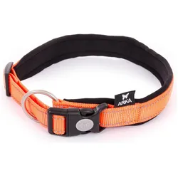 Arka L (Hund, Spazieren), Halsband + Leine