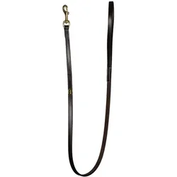 Dy'on Klassische Hundeleine (100, Hund), Halsband + Leine
