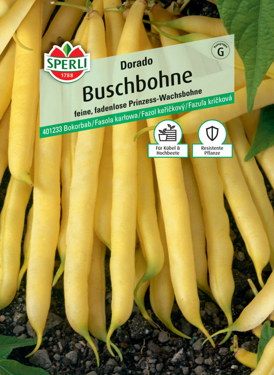Sperli Buschbohne Dorado