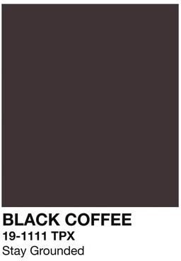 Inspired Living Minimalist Skeleton Coffee Wall Art Canvas Modern Coffee Lover Decor 50x70cm Unframed 5