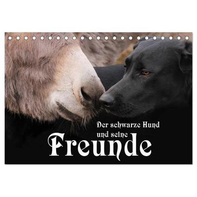 Der schwarze Hund und seine Freunde (Tischkalender 2027 DIN A5 quer), CALVENDO Monatskalender