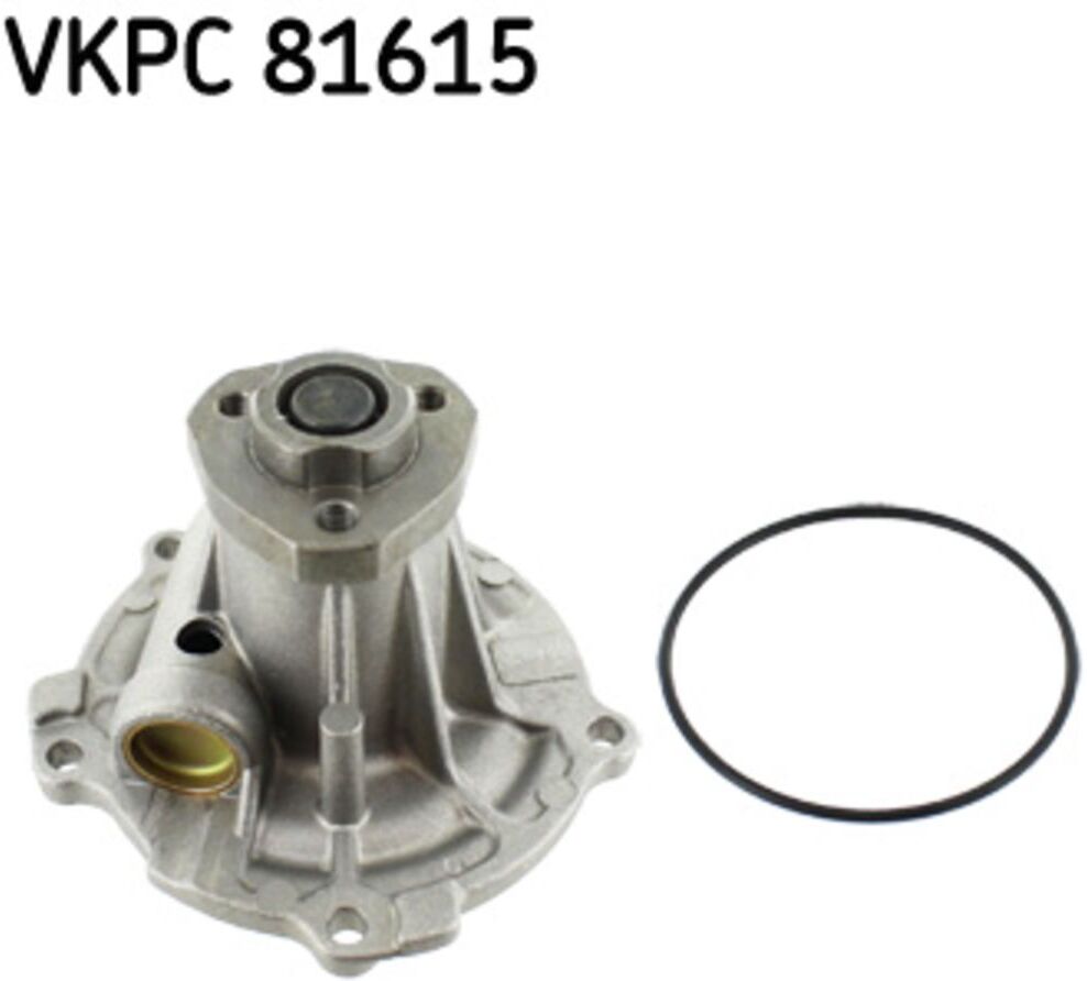 Wasserpumpe SKF VKPC 81615
