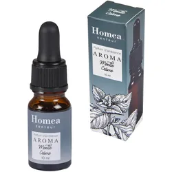 Pfefferminz Duftöl 10ml - Ideal für Duftlampen & Diffuser - Frische Raumatmosphäre, kühler Effekt, fördert Konzentration & Entspannung