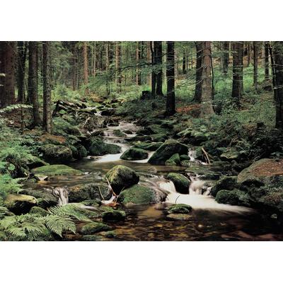 Fototapete PAPERMOON "Nature", bunt, B:2,5m L:1,86m, Vlies, Tapeten