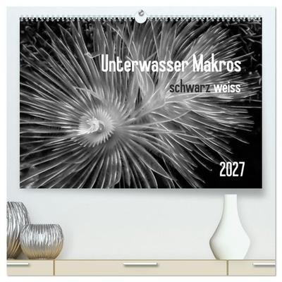 Unterwasser Makros - schwarz weiss 2027 (hochwertiger Premium Wandkalender 2027 DIN A2 quer), Kunstdruck in Hochglanz