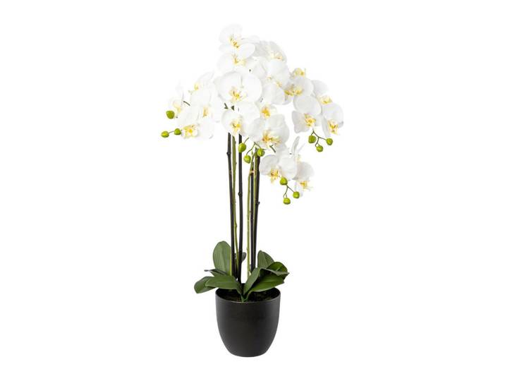 Kunstblume, Weiß, Kunststoff, 83 cm, inkl. Topf, Dekoration, Blumen & Blumentöpfe, Kunstblumen