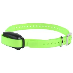 ProHunt 600 M (One Size, Hund), Halsband + Leine