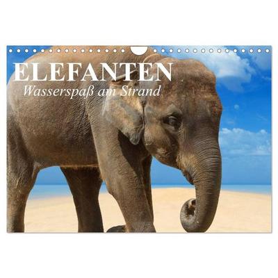 Elefanten - Wasserspaß am Strand (Wandkalender 2026 DIN A4 quer), CALVENDO Monatskalender
