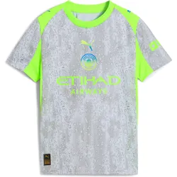 Puma, Unisex, Fussballtrikot, MCFC 3rd Replica Jr (116), Blau, Grün