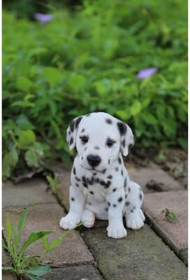 Hi-Line Gift Ltd. Dalmatian Puppy Statue