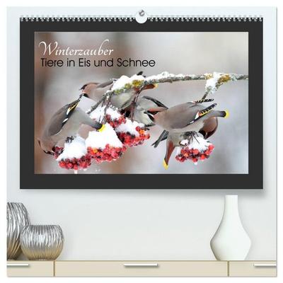 Winterzauber - Tiere in Eis und Schnee (hochwertiger Premium Wandkalender 2027 DIN A2 quer), Kunstdruck in Hochglanz