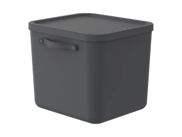 Rotho Aufbewahrungsbox mit Deckel Mythen 39.5 × 38 x 34 cm 40 l