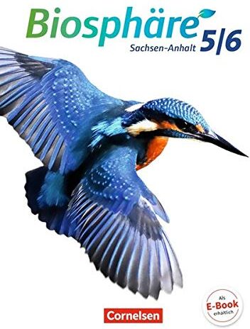 Grimmer, Dr. Anja - Biosphäre Sekundarstufe I - Gymnasium Sachsen-Anhalt: 5./6. Schuljahr - Schülerbuch - Preis vom 09.10.2026 07:28:09 h
