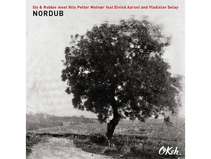 Sly & Robbie + Nils Petter Mol - Nordub
