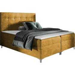 BOXBETT Snake - H3