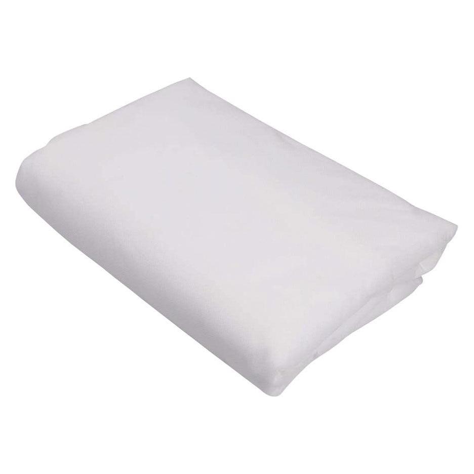 Biotop Artic cloth Pflanzenschutzgewebe 4x5m 17g/m² (49823635)