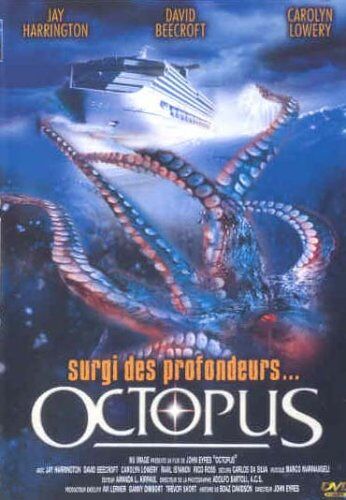 Octopus - Preis vom 09.10.2026 07:28:09 h