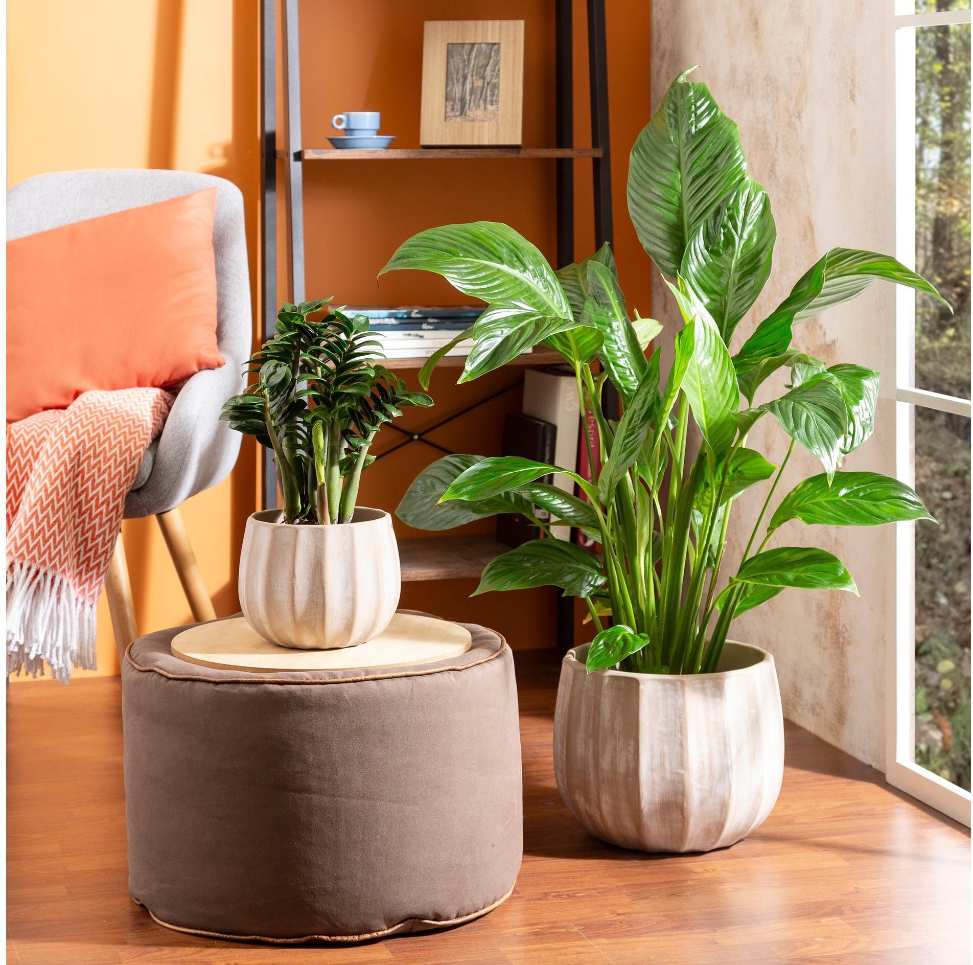 Blumentopf SCHEURICH "Runa 13 l", beige (crème), H:20cm Ø:25,5cm, Keramik, Pflanzgefässe, Blumentopf crème Ø 25,5cm