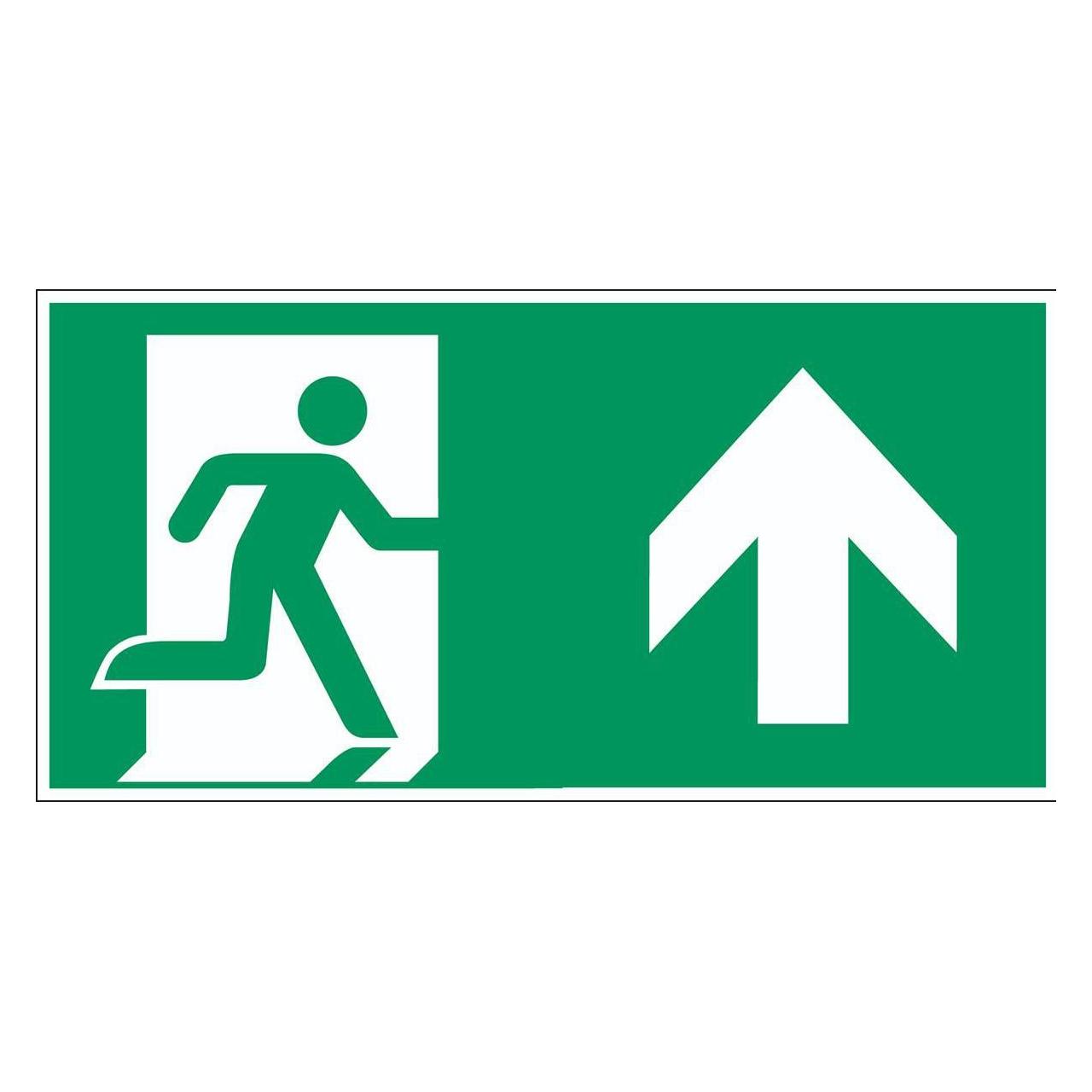 Brady ISO Safety Sign - Emergency (E/E002/A0/NT/PE-297X148-1)
