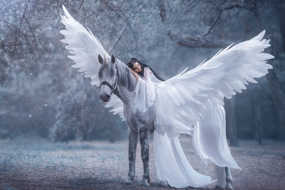 Fototapete PAPERMOON "EINHORN MIT FEE IM MÄRCHENWALD", bunt, B:3m L:2,23m, Vlies, Tapeten, Fototapete