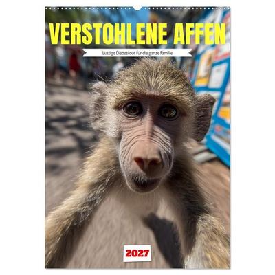 Verstohlene Affen - Lustige Diebestour für die ganze Familie (Wandkalender 2027 DIN A2 hoch), CALVENDO Monatskalender