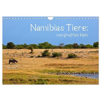 Namibias Tiere: von groß bis klein (Wandkalender 2027 DIN A4 quer), CALVENDO Monatskalender