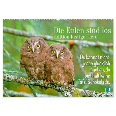Die Eulen sind los: Edition lustige Tiere (Wandkalender 2027 DIN A2 quer), CALVENDO Monatskalender