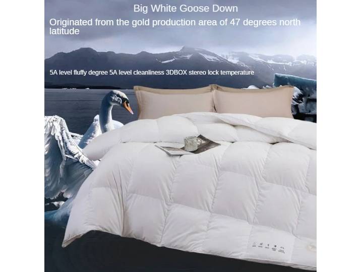 Couette épaisse en coton, duvet d'oie blanche 95, double duvet, couette d'hiver